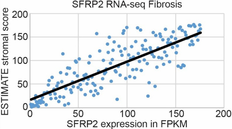 Figure 4.