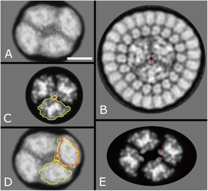 Fig. 6.