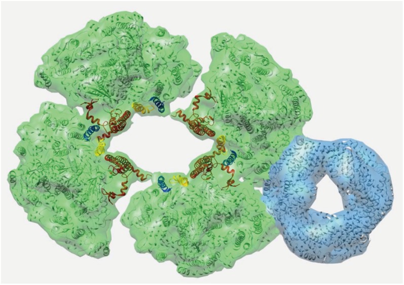 Fig. 7.