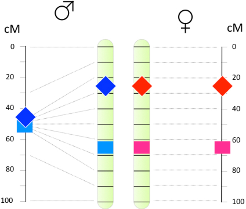 Figure 5: