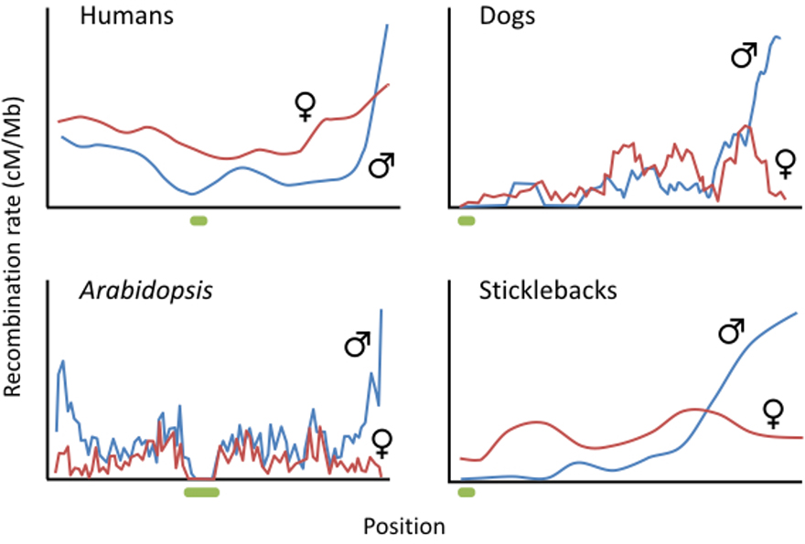 Figure 2: