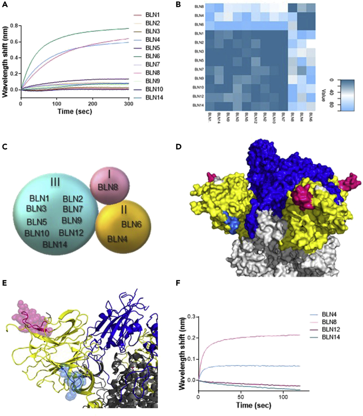 Figure 2