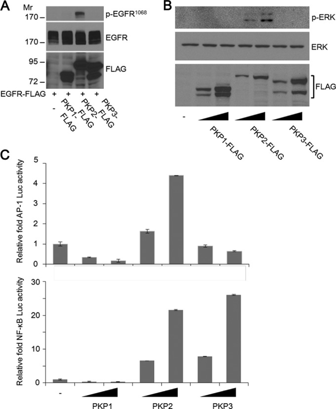 FIG 3