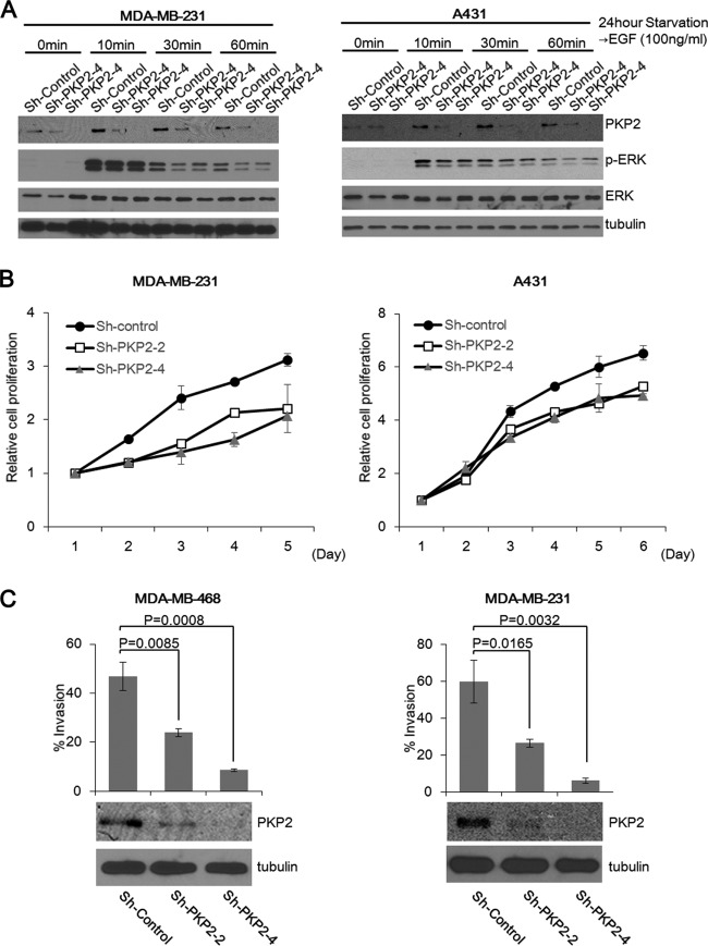 FIG 6