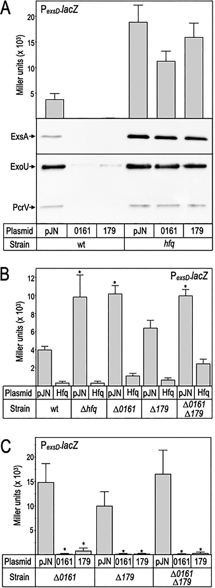 FIG 5