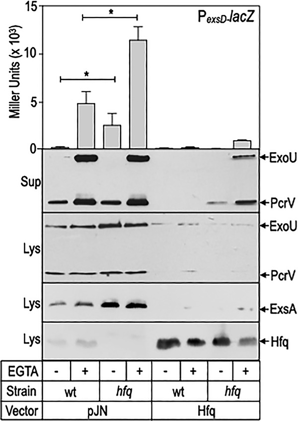 FIG 2