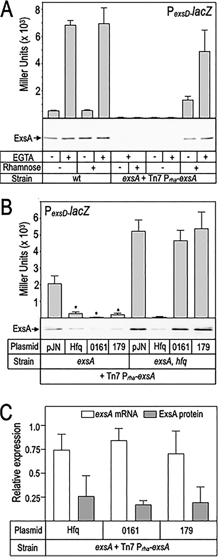 FIG 6