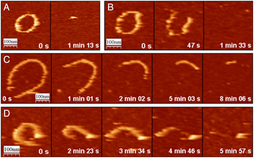 Fig. 3.