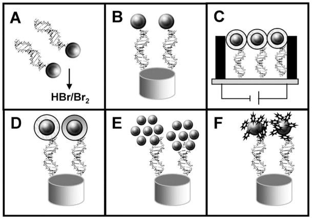 Figure 22