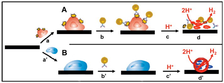 Figure 19