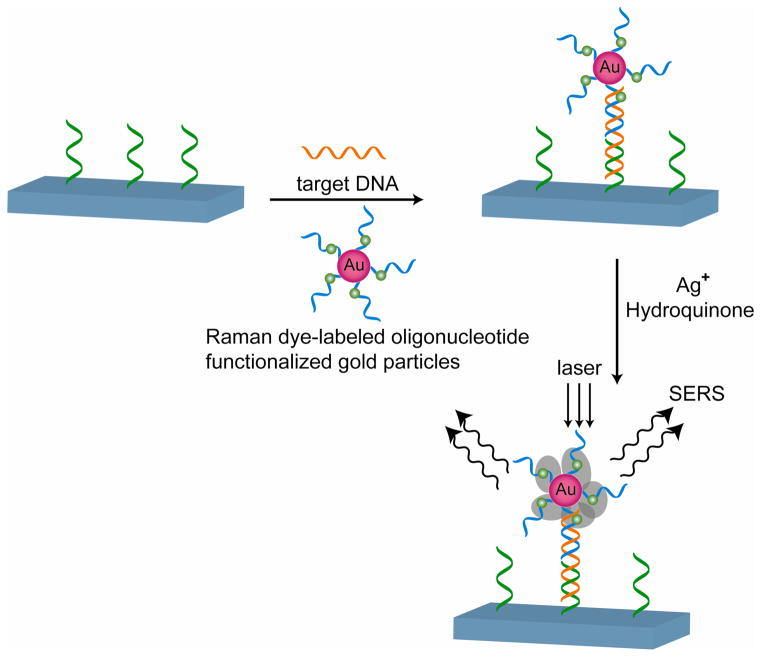 Figure 30