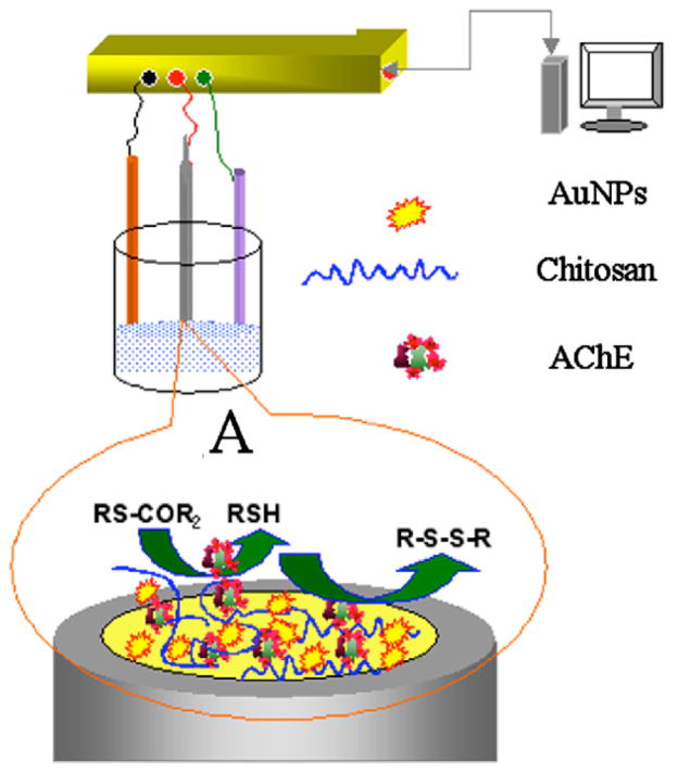 Figure 21