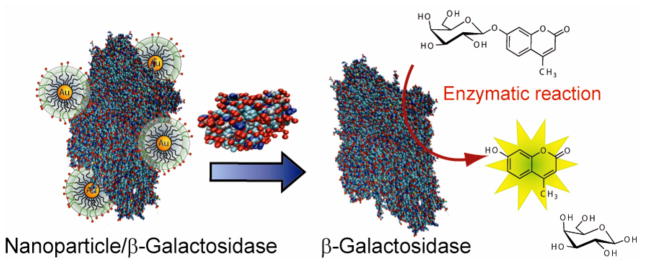 Figure 17