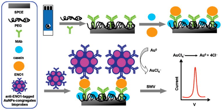 Figure 25