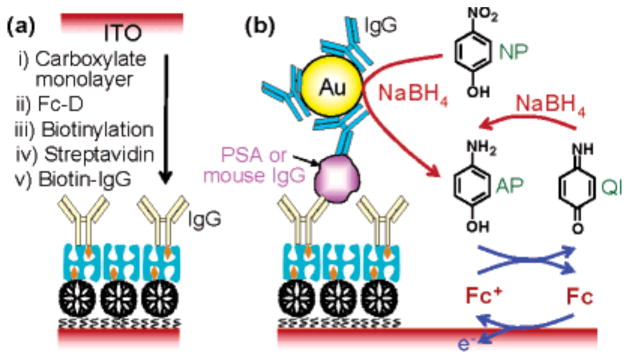 Figure 27