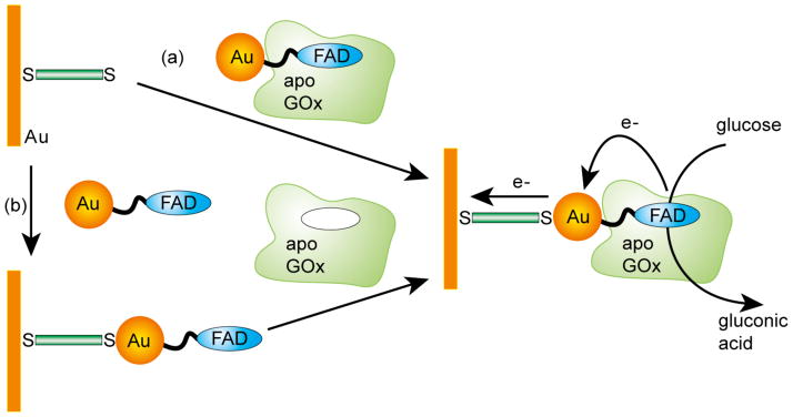 Figure 20