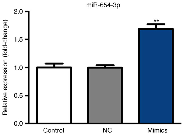 Figure 2.