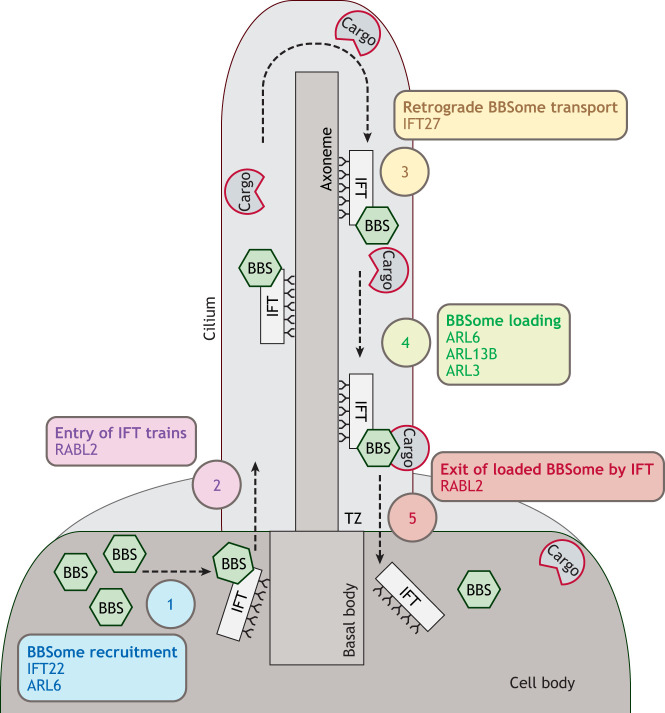 Fig. 4.