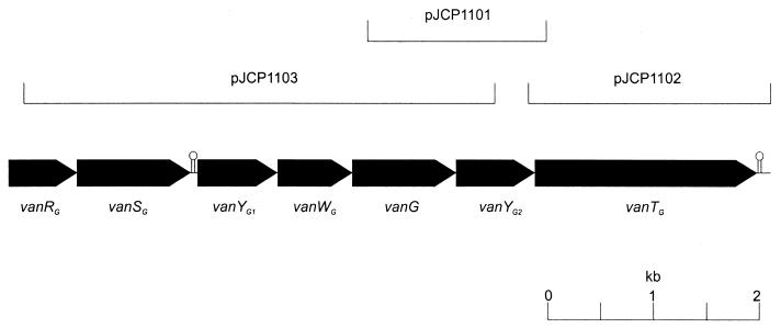 FIG. 1