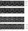 <b>Figure 3.</b>