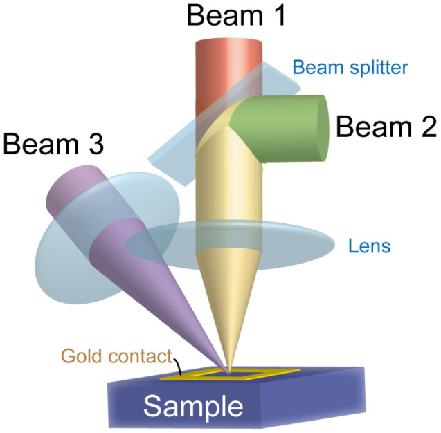 Figure 4