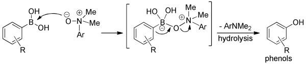 Scheme 7