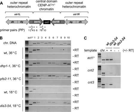 FIGURE 3.