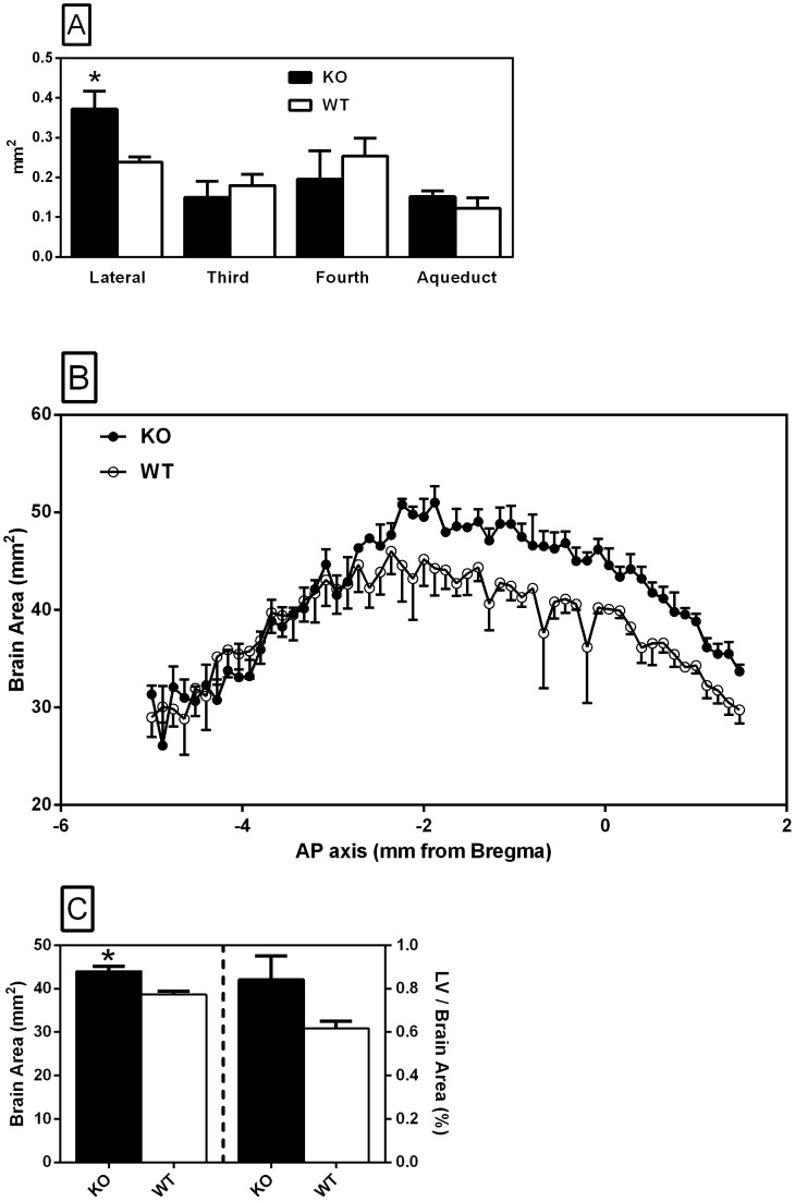 Figure 19