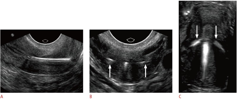 Fig. 9.