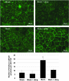 <b>FIG. 4.</b>