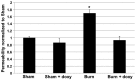 <b>FIG. 3.</b>