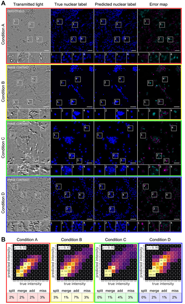 Figure 4