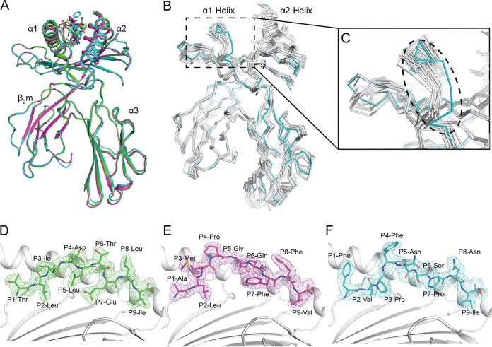 FIG 2