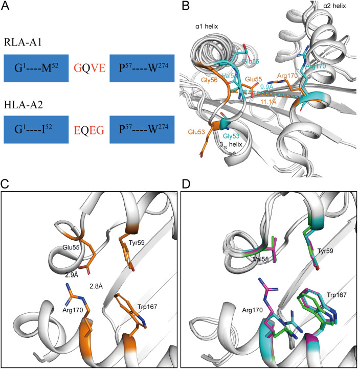 FIG 6