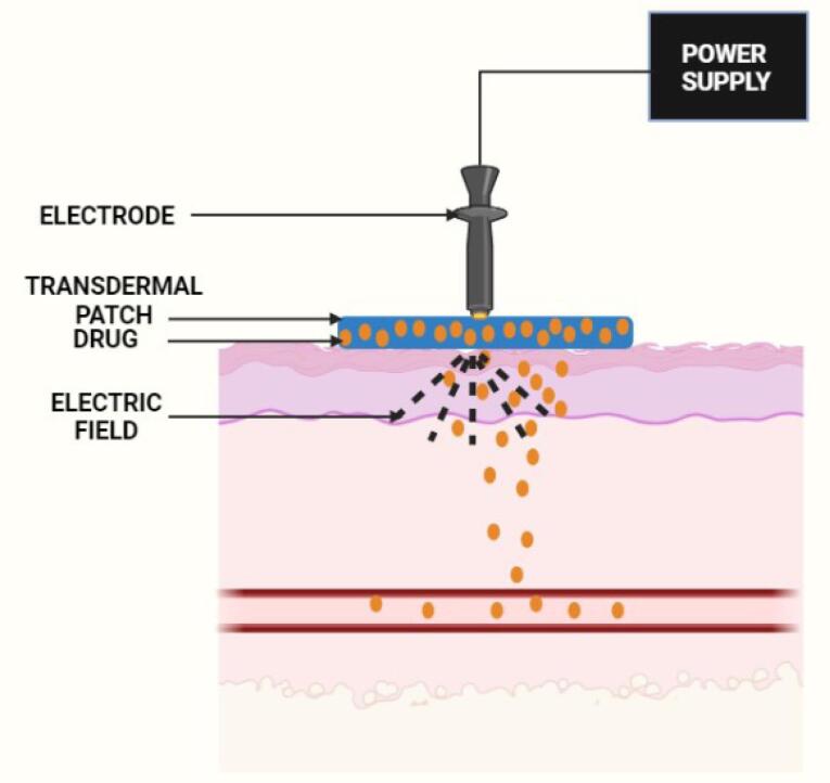 Figure 5