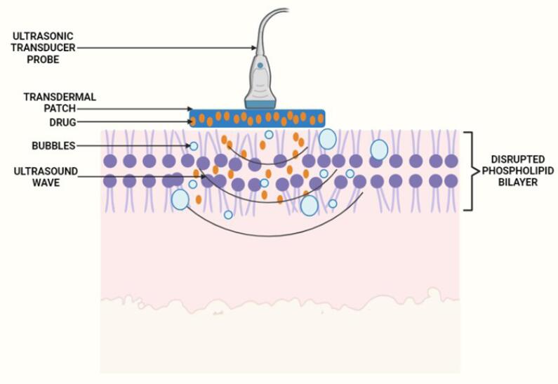 Figure 7