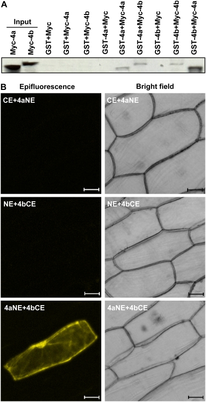 Figure 4.