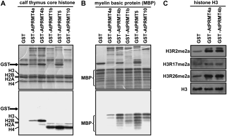 Figure 2.