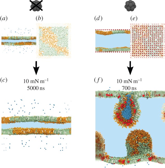 Figure 1.