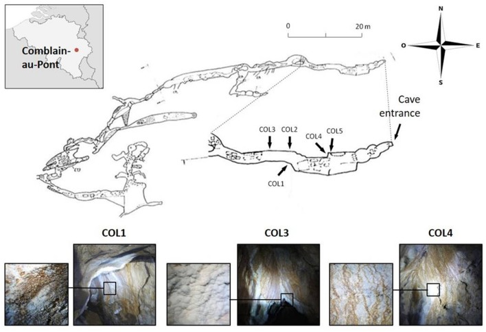 FIGURE 1