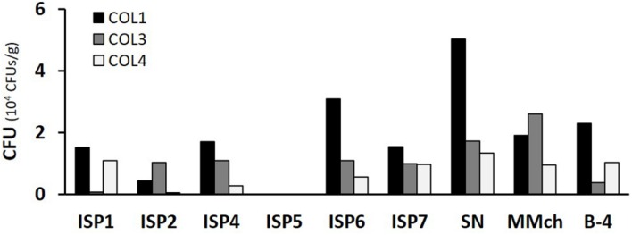 FIGURE 2