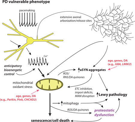 graphic file with name nihms-982631-f0001.jpg