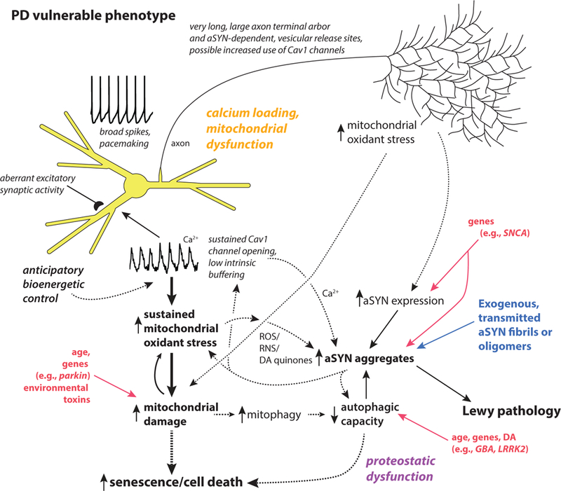 Figure 1: