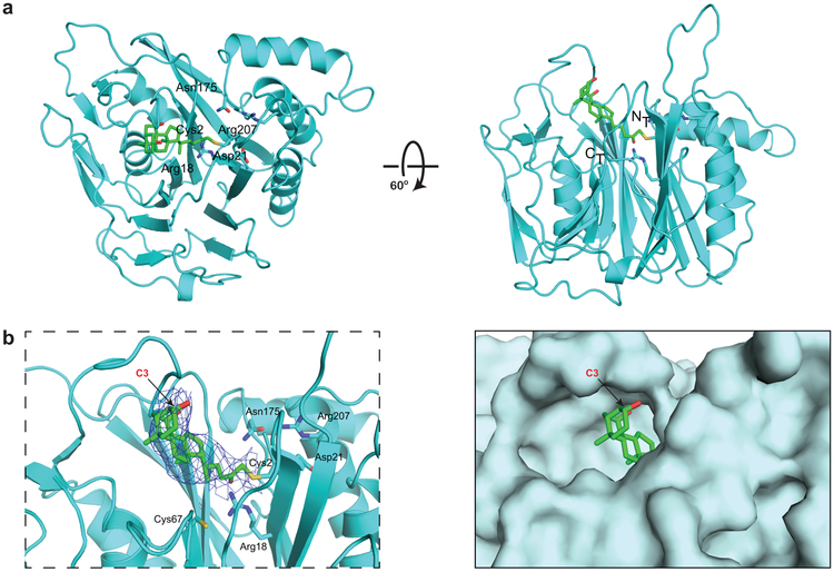 Figure 3.