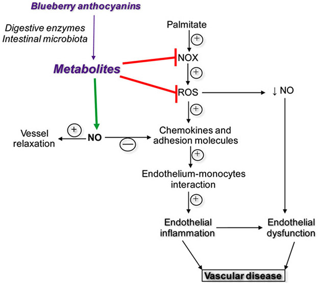 Figure 5.