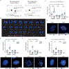 Figure 2 |