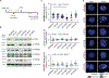 Figure 4 |