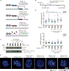 Figure 6 |