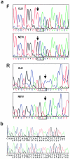 Figure  2