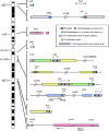 Figure  3